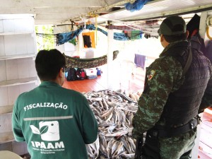 FISCALIZAÇÃO Op. Malhadeira