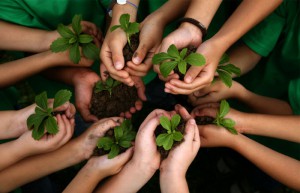 educação ambiental