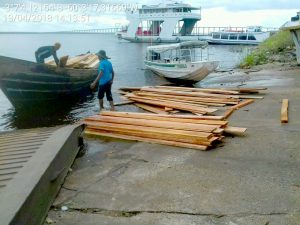 Imagem da notícia - Fiscais do Ipaam apreendem madeira retirada ilegalmente da RDS no rio Negro