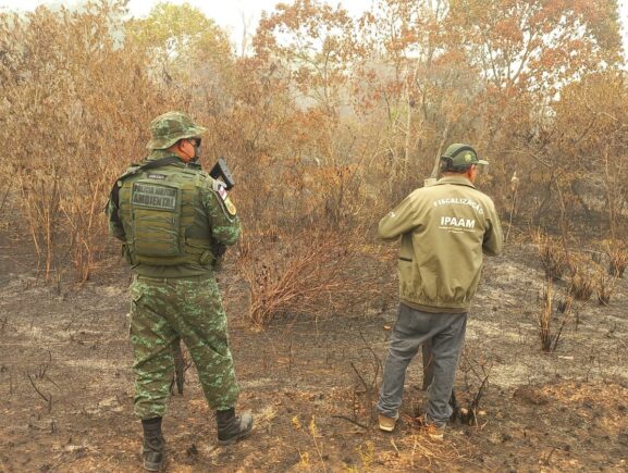 Ipaam realiza operações simultâneas em 6 municípios do Amazonas em conjunto com a SSP