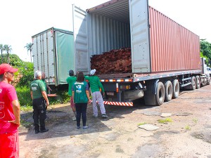 Imagem da notícia - Ipaam e Batalhão Ambiental apreendem carga ilegal de maçaranduba que iria para Fortaleza