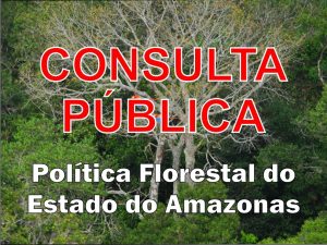 Imagem da notícia - Consulta Pública – Política Florestal do Amazonas