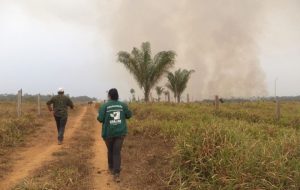 Imagem da notícia - Ipaam e Sema iniciam operação de combate às queimadas no Sul do Amazonas