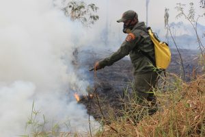 Imagem da notícia - Operação Cielo mostra presença do Estado e reduz focos de queimadas na Região Metropolitana de Manaus