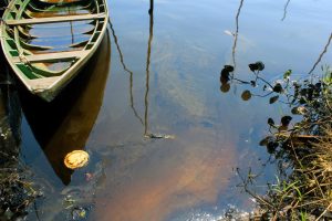 Imagem da notícia - Ipaam embarga porto do grupo Chibatão no Mauazinho e orienta moradores não usar águas para consumo