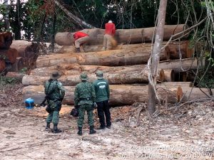 Imagem da notícia - Ipaam lança novo modelo de cadastro para entidades filantrópicas