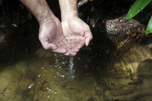 Imagem da notícia - Governo do Amazonas realiza atividades gratuitas em comemoração à Semana da Água