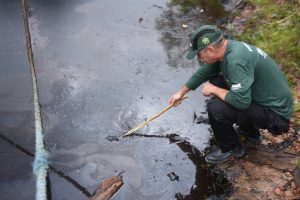 Imagem da notícia - Fiscais do Ipaam notificam empresa após vazamento de emulsão asfáltica no rio Negro