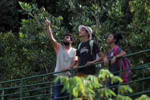 Imagem da notícia - No Mês do Meio Ambiente, Parque Sumaúma passa a abrir aos domingos com programação gratuita de educação ambiental