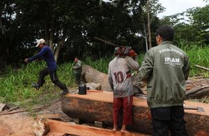 Imagem da notícia - Materiais apreendidos pelo Ipaam podem ser doados para instituições filantrópicas