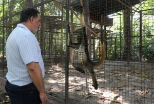 Imagem da notícia - Ipaam realiza visita de monitoramento aos animais que estão no zoológico do Tropical Hotel