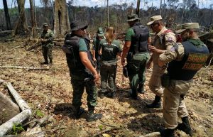 Imagem da notícia - Operação embarga mais 1.625 hectares de terra no sul do Amazonas por queimadas e desmatamento ilegal