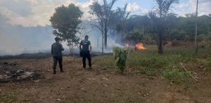 Imagem da notícia - Operação contra queimadas e desmatamento multa seis empreendimentos em Canutama em mais de R$ 4,9 milhões