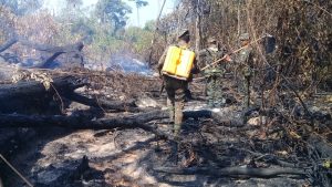 Imagem da notícia - Força-tarefa intensifica operação de combate a queimadas no sul do Amazonas durante feriado prolongado