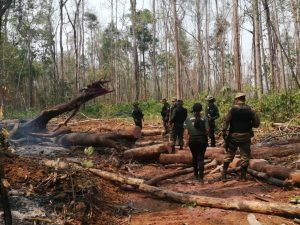 Imagem da notícia - Operação Curuquetê 2 embarga mais de 3,7 mil hectares de terras no sul do Amazonas