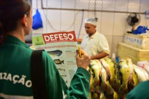Imagem da notícia - Período de defeso: Ipaam informa que oito espécies de pescado sairão da restrição de pesca