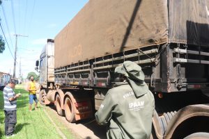 Imagem da notícia - Operação “Tamoiotatá” apreende 135 metros cúbicos de madeira ilegal em Humaitá