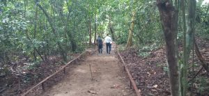 Imagem da notícia - Ipaam retoma obras de Bosque Ecológico