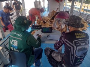 Imagem da notícia - Em ação conjunta, barco é apreendido com pescado ilegal no município de Coari