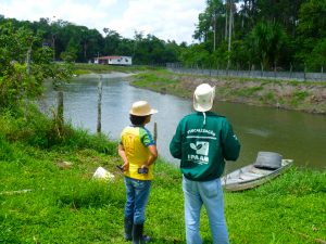 Imagem da notícia - Gerência de Pesca do Ipaam inicia programação anual de vistoria em todo o estado do Amazonas