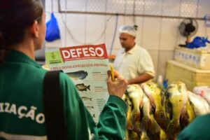 Imagem da notícia - Ipaam divulga início do Período Defeso das Espécies de peixes do Amazonas – 2024