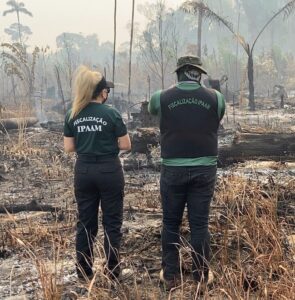 Imagem da notícia - Fiscalizações ambientais do Ipaam crescem 281,38% com foco no combate ao desmatamento