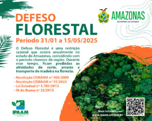 Imagem da notícia - Ipaam anuncia Período de Defeso Florestal no Amazonas