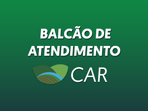 Imagem em destaque