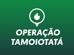 Imagem em destaque
