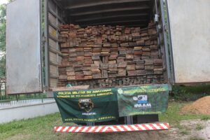 Imagem da notícia - Ipaam e Polícia Militar apreendem 25 metros cúbicos de madeira ilegal em Manacapuru