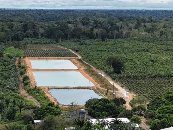 Operação do Ipaam, CPAmb e BPAmb aplica R$ 1,6 milhão em multas por crimes ambientais em Rio Preto da Eva