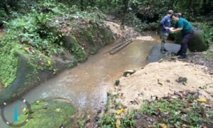 Imagem da notícia - Empresa é multada pelo Ipaam em mais de R$ 100 mil por danos ambientais em São Gabriel da Cachoeira