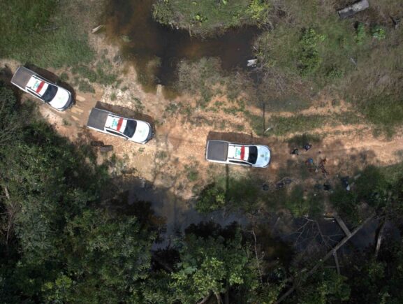 Operação Tamoiotatá V: Ipaam aplica mais de R$ 930 mil em multas por criação ilegal de gado na Floresta de Tapauá