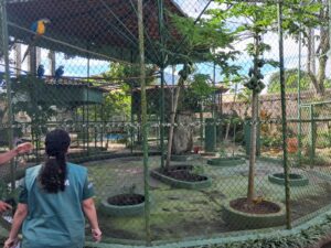 Imagem da notícia - Mantenedouros de fauna: Ipaam explica como funciona e quais são as regras 