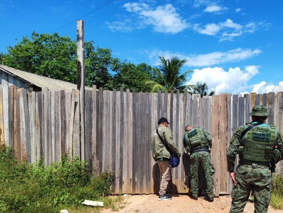 Órgãos ambientais na RDS do Uatumã apreendem madeira e embargam serraria irregular