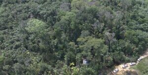 Imagem da notícia - Ipaam registra queda de 52,46% no desmatamento e 64,72% nos focos de calor no mês de junho