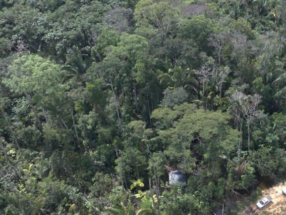 Ipaam registra queda de 52,46% no desmatamento e 64,72% nos focos de calor no mês de junho