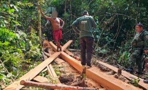 Imagem da notícia - Operação Rio Negro resulta em R$ 427,8 mil em multas por crimes ambientais em Unidades de Conservação do AM