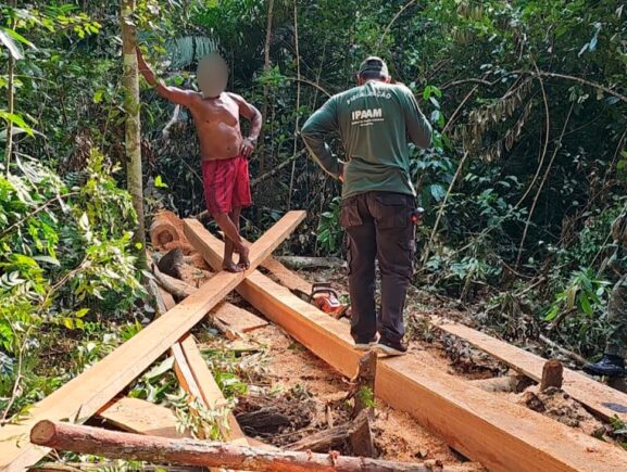 Operação Rio Negro resulta em R$ 427,8 mil em multas por crimes ambientais em Unidades de Conservação do AM