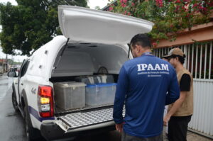 Imagem da notícia - Ipaam resgata sete animais silvestres após acionamento da população em Manaus