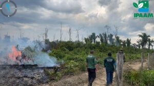 Imagem da notícia - Ipaam aplica mais de R$ 5 milhões em multas na 5ª etapa da Operação Tamoiotatá 5