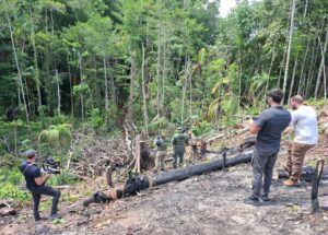 Imagem da notícia - Fiscalização do Ipaam ganha destaque em documentário internacional de emissora chinesa
