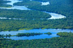 Imagem da notícia - Governo do Amazonas registra em novembro o menor número de focos de calor desde 2021