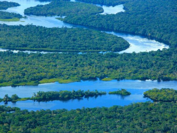 Governo do Amazonas registra em novembro o menor número de focos de calor desde 2021