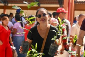 Imagem da notícia - Governo Presente: Ipaam distribui 200 mudas de plantas frutíferas, medicinais e ornamenta