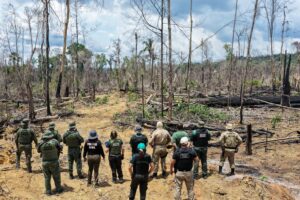 Imagem da notícia - Operação Tamoiotatá 2025: Ipaam aplica R$ 144,7 milhões em multas por crimes ambientais no sul do Amazonas