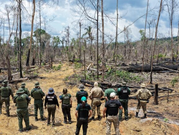 Operação Tamoiotatá 2025: Ipaam aplica R$ 144,7 milhões em multas por crimes ambientais no sul do Amazonas