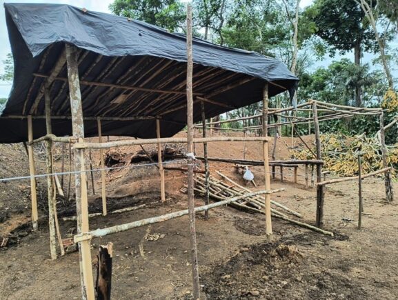 Operação Região Metropolitana 2026 desmobiliza ocupação irregular e embarga área desmatada em Itacoatiara