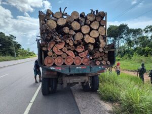 Operação Região Metropolitana: Ipaam apreende caminhão e lenha transportada sem documenta…
