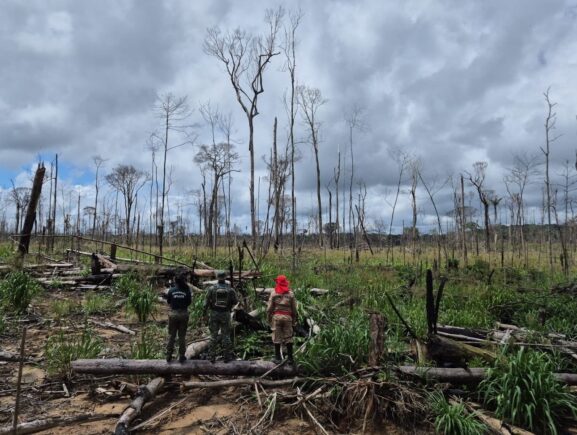 Ipaam conclui 3ª etapa da Operação Tamoiotatá 6 com mais de R$ 10 milhões em multas no su…